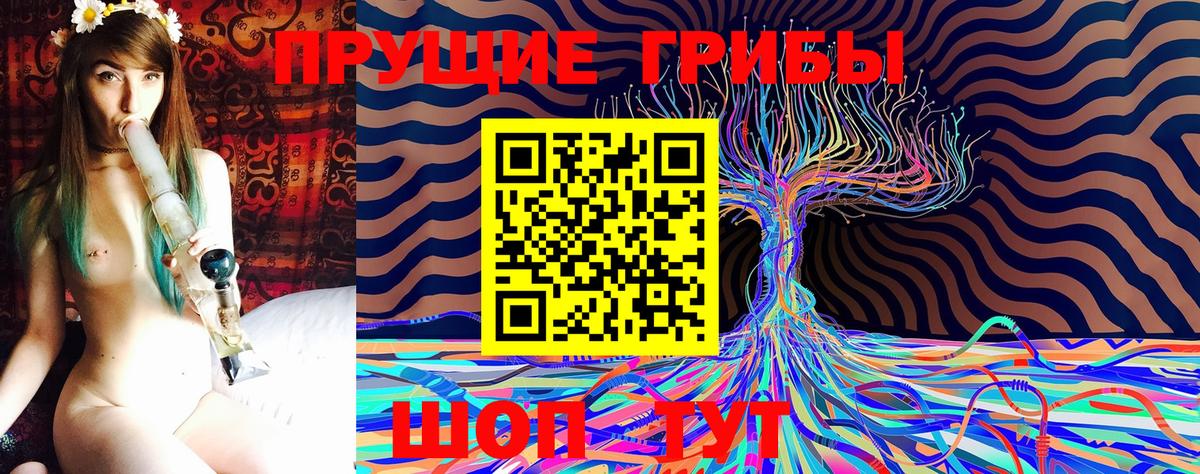 Галлюциногенные грибы GOLDEN TEACHER Кинель